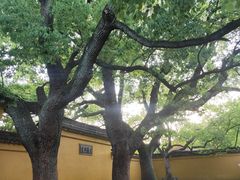 -西园戒幢律寺