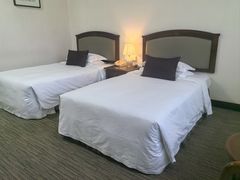 -曲江惠宾苑宾馆(大雁塔大唐不夜城店)