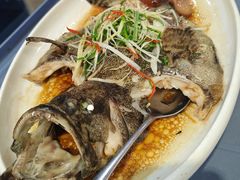 -百年银屏蚝烙·潮汕菜·非遗(乐山店)