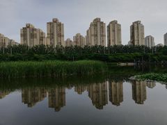 -前关湿地公园