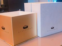 -BLACKSWAN黑天鹅(环球店)