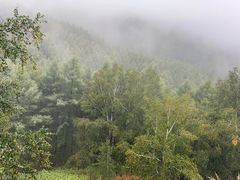 -塞罕坝国家级自然保护区