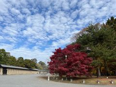 -京都御所