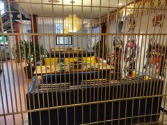 -后院犇牛主题餐厅(云岗店)