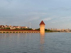 -九龙湖公园