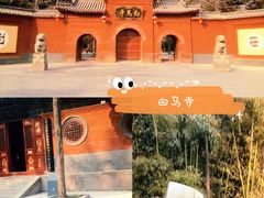 -洛阳白马寺
