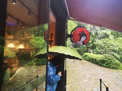 -茶颜悦色(岳麓山顶店)