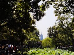 -拙政园