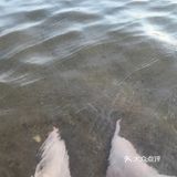 打卡全清远唯一一个沙滩 | 伦洲岛详细攻略