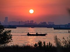 -芒洲湿地公园
