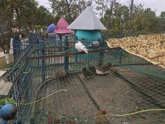 -上海滴水湖皇冠假日酒店