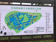 -盐城丹顶鹤湿地生态旅游区