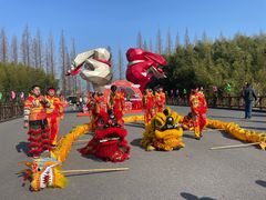 -黄海国家森林公园