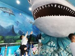 -多彩贵州城极地海洋世界