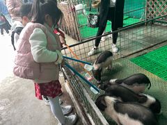 -史努比缤纷世界