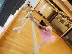 -北京红舞鞋少儿形体舞蹈教育(高新融侨城校区)