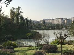 -枫香湖儿童公园
