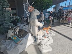 -IMON·HANSA潮玩玩偶毛绒玩具(通州万象汇店)