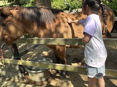 -神户市立六甲山牧场