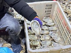 -江杨农产品批发市场