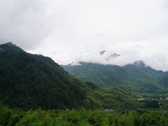 -天目山大树王景区