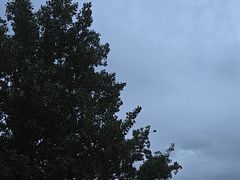 -No.DD戳子烧烤·江湖菜(北京总店)