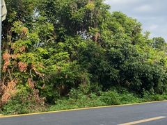 -西涌国际滨海旅游区