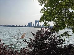 -金鸡湖景区