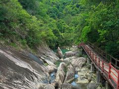-广州白江湖森林公园