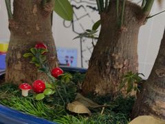 -有红鸡毛店·巴蜀民间菜(碧海南路店)