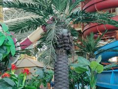 -天山海世界·米立方