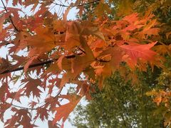 -北京天湖会议中心