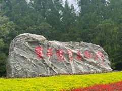 -东平国家森林公园