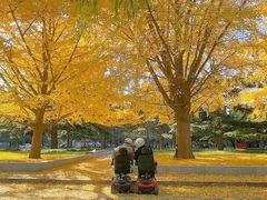 -中央民族大学