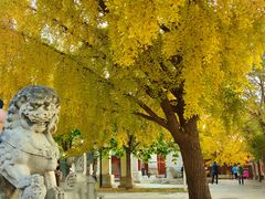 -北京石刻艺术博物馆(五塔寺)