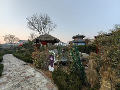 -夏津德百度假村温泉