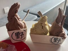 -野人牧坊Gelato(天津南开大悦城店)