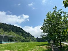 -武陵山森林公园