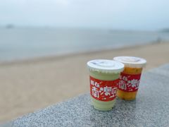 -南澳岛打卡果汁冰公司