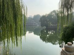 -黄村公园