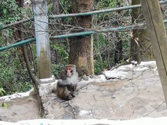 -黔灵山公园