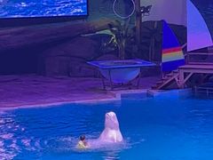 -海合安武汉极地海洋公园