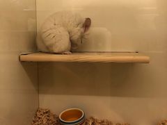 -龙猫仔乐园(惠福东路店)