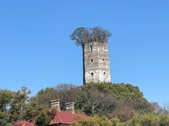 -江心屿景区
