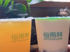 -仙雨林·奶茶鲜果茶(书院巷店)