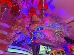 -巴特餐饮6加1音乐餐吧·新疆菜