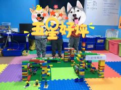 -童程童美·信息学竞赛·机器人编程·少儿编程(五棵松万达校区)