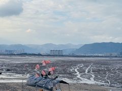 -北岐滩涂