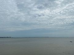 -北海金海湾红树林生态旅游区