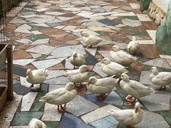 -昆明动物园